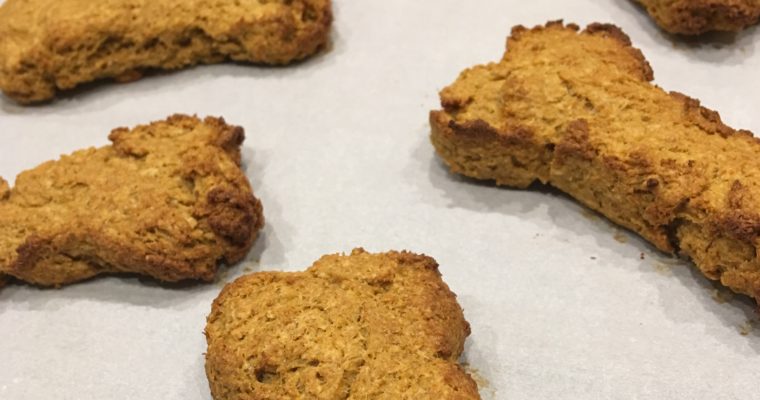 Two Ingredient Dog Treats (could be 3)